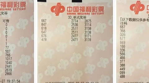 2026022双色球期号专家预测选杀红21