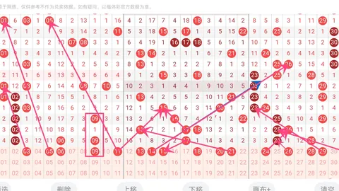 王太初福彩3D第2026066期推荐：专家质合分析精选小大大