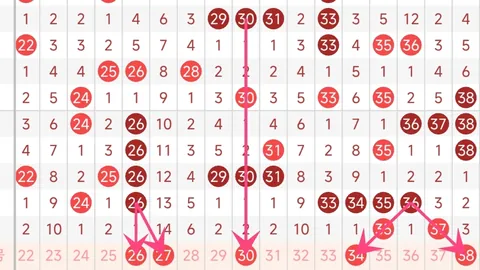 26047期双色球小彬号码推荐组合